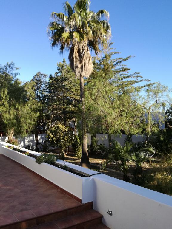 Villa Ca Daniela San Antonio  Buitenkant foto